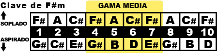 gama media